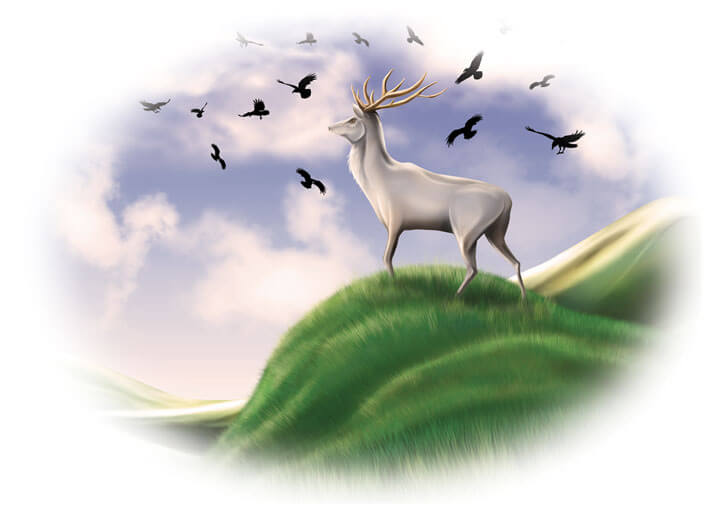 The White Stag